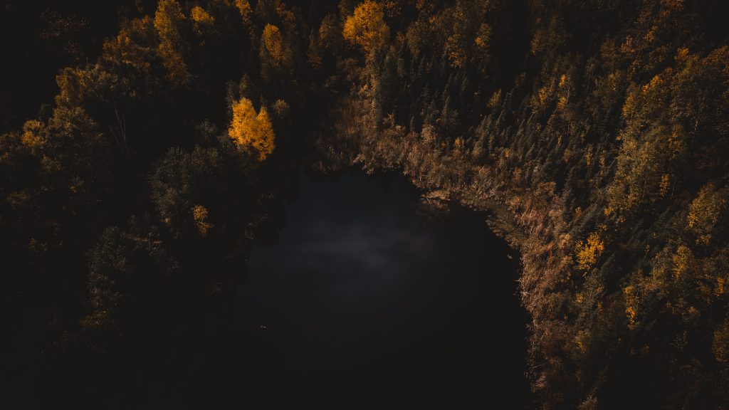 Aerial image of a small lake surrounded with forrest in fall.