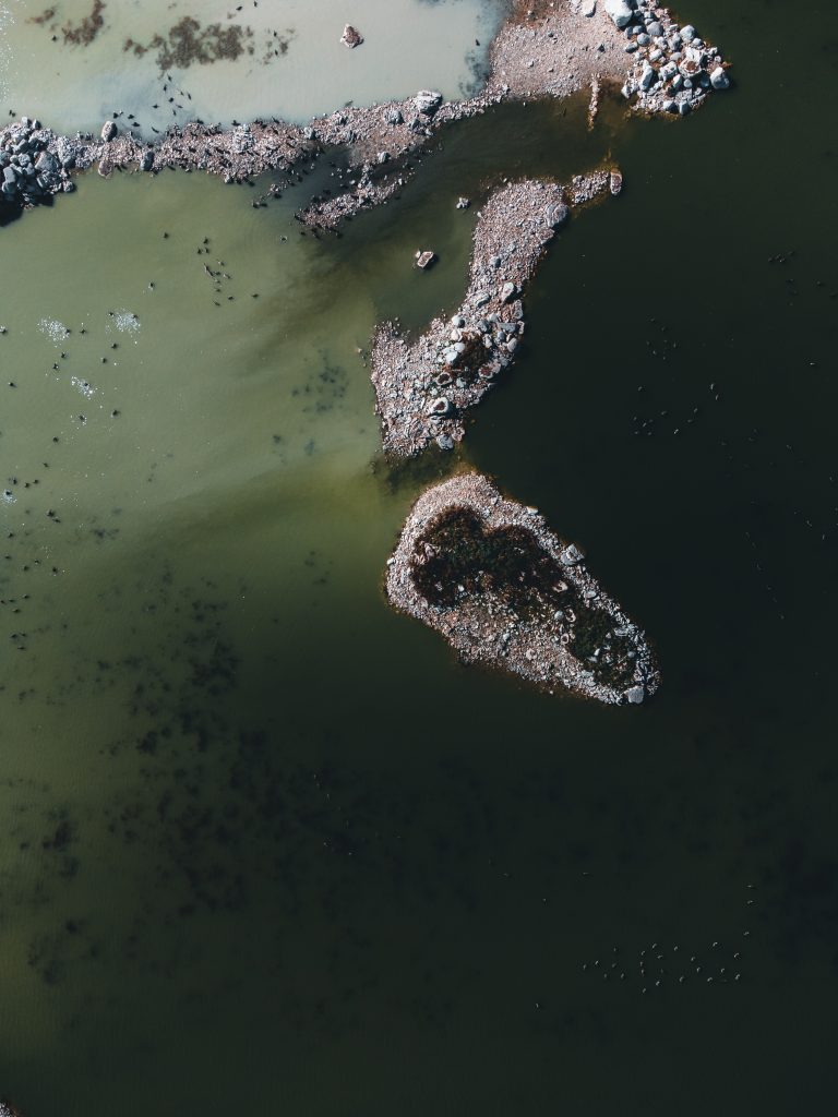 Aerial image of an island surrounded by Canadian geese.