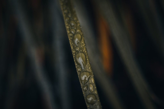 Close up of a single blade of grass with water droplets.