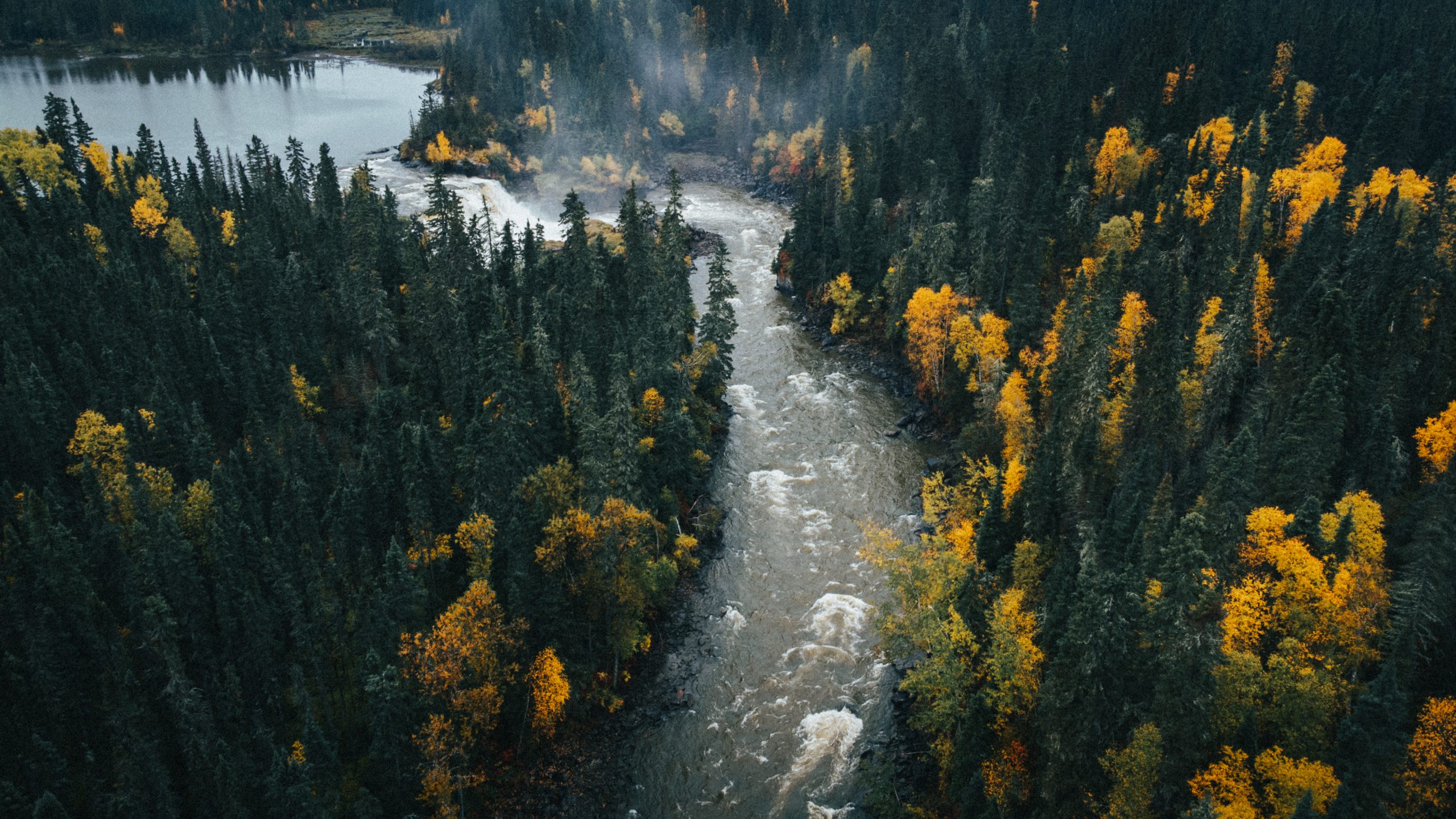 Drone shot of Pisew Falls Provincial Park. The rushing river runs through the centre of the frame as the forrest surrounds it, which is starting to show it's fall colours.