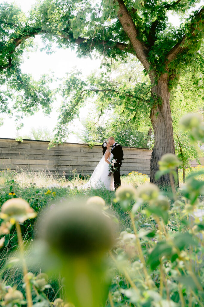 Winnipeg bride and groom kissing under a tree
