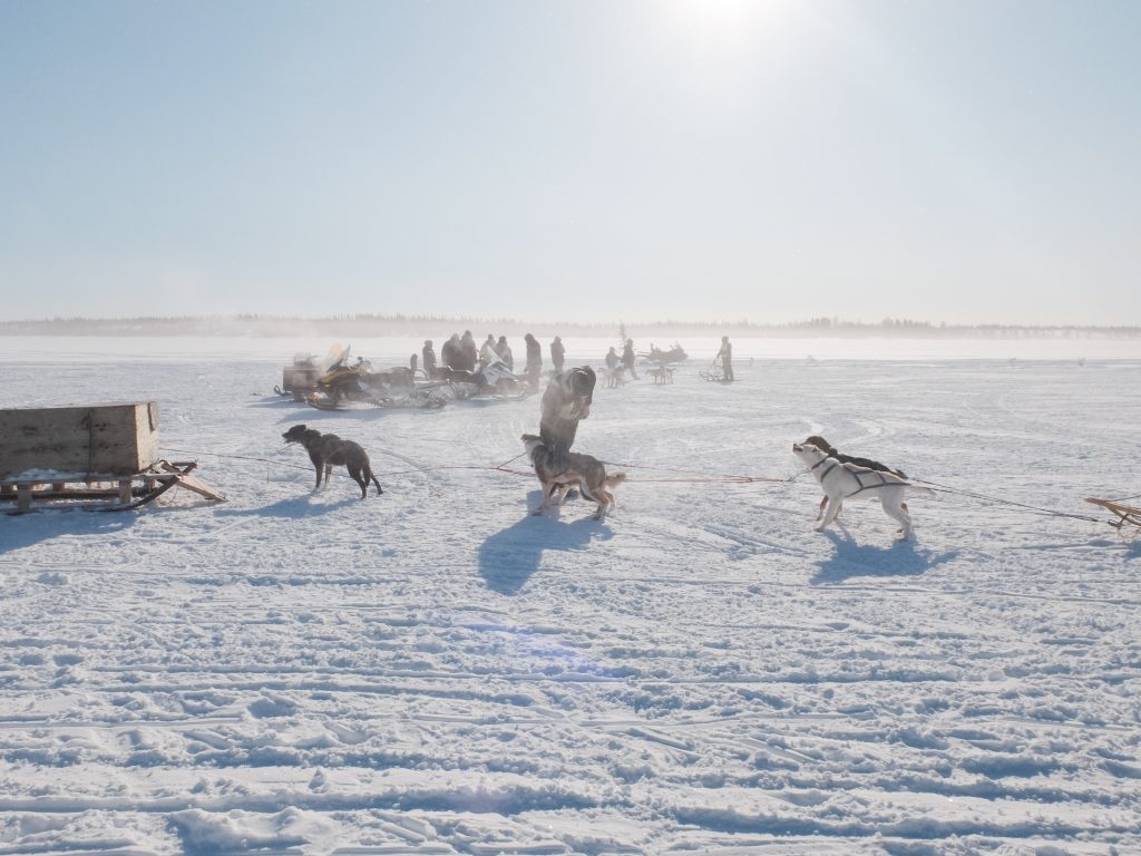 Image of sleigh dogs getting ready to race in the town of Lac Brochet northern Manitoba. Winnipeg Wedding Photographer Michael Scorr captures this image on a Fujifilm x30 and processed in camera with a Classic Kodak Chrome recipe.